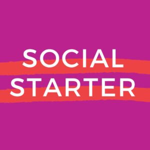 Like a Pro eCourse: Social Starter Poster