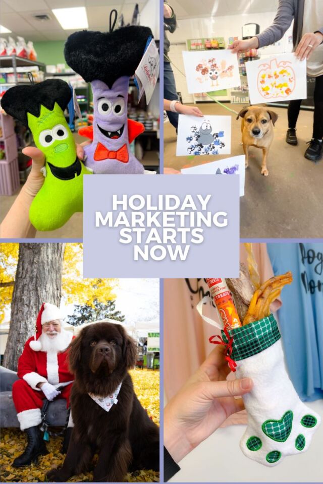 August 14 2025 Holiday Marketing Starts Now How to Prep Your Small Biz for Q4 Success